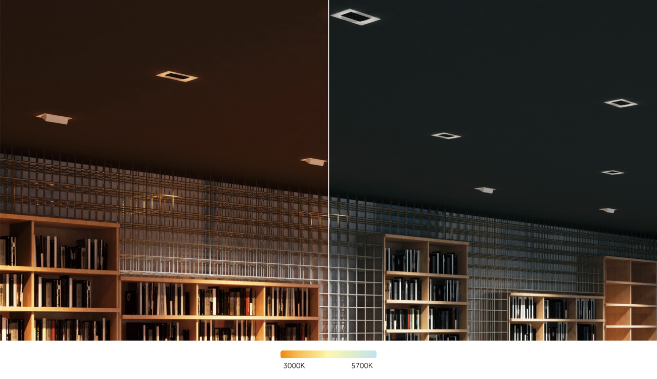 1641888880592189.jpg CFS-010.jpg