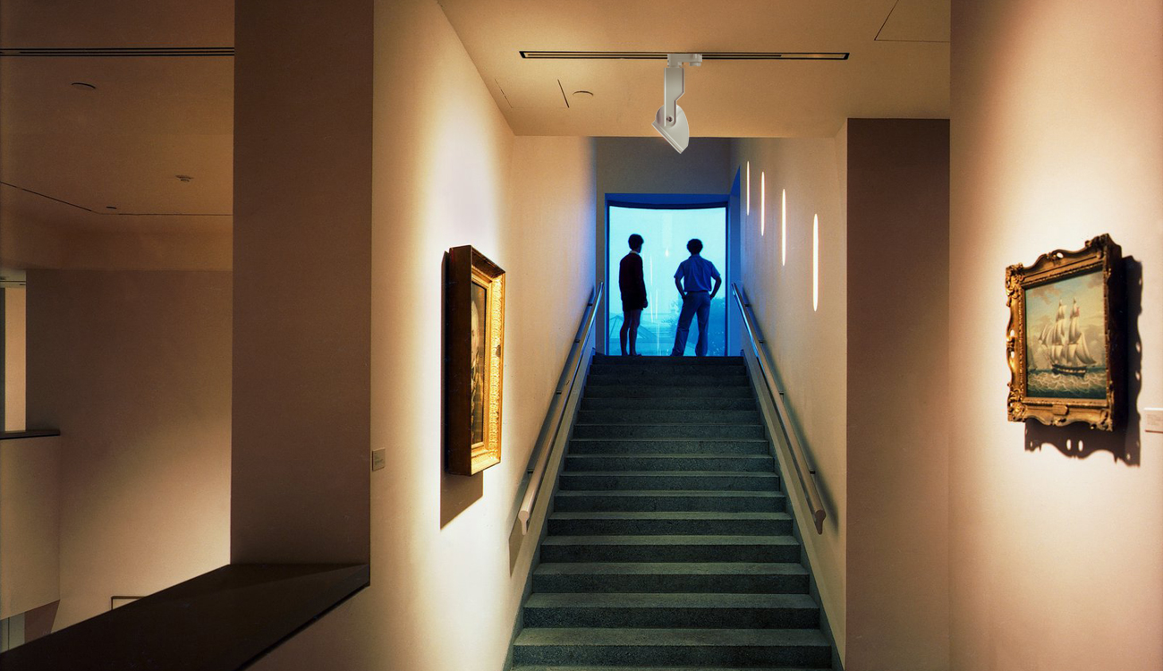 1643189554397223.jpg DZJ.jpg