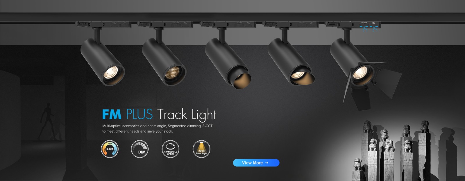 adjustable track light.jpg